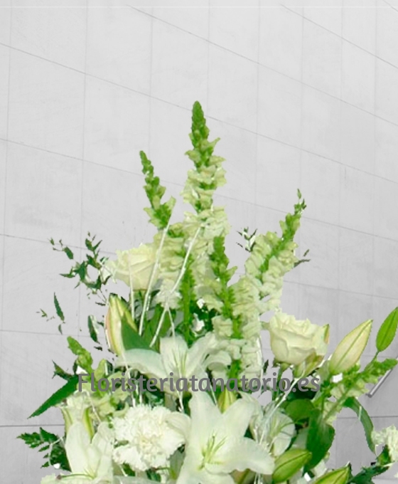 envío urgente de centros funerarios a floristería tanatorio